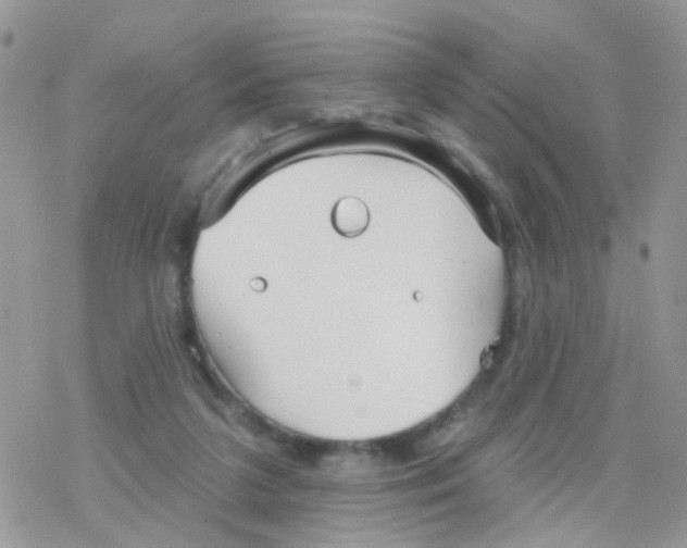 X0000078310211200611251541