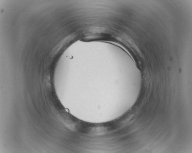 X0000078310212200611251541