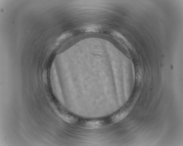 X0000078310213200611251541