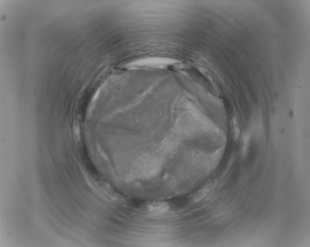 X0000078310214200611251541