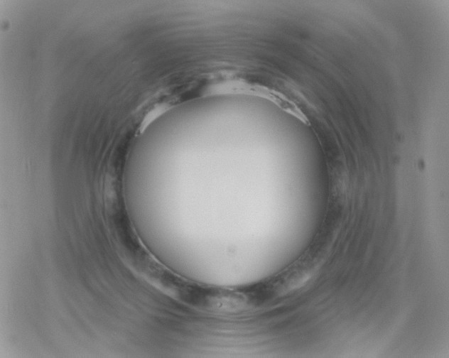 X0000078310215200611251541