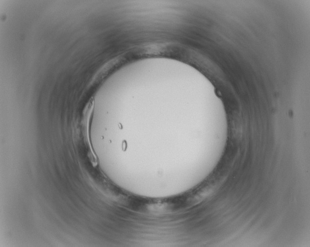 X0000078310216200611251541