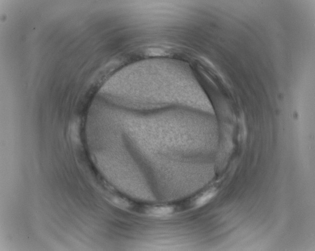 X0000078310217200611251541