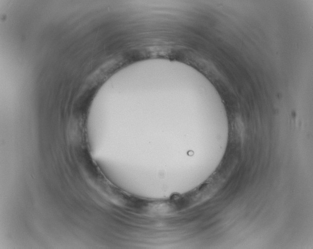 X0000078310218200611251541