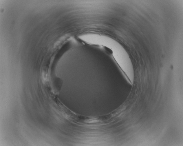 X0000078310219200611251541