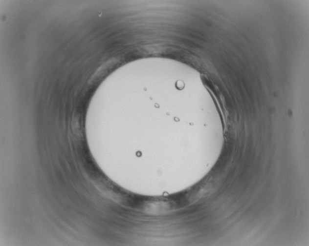 X0000078310220200611251541