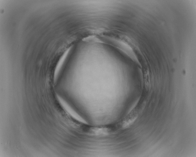 X0000078310221200611251541