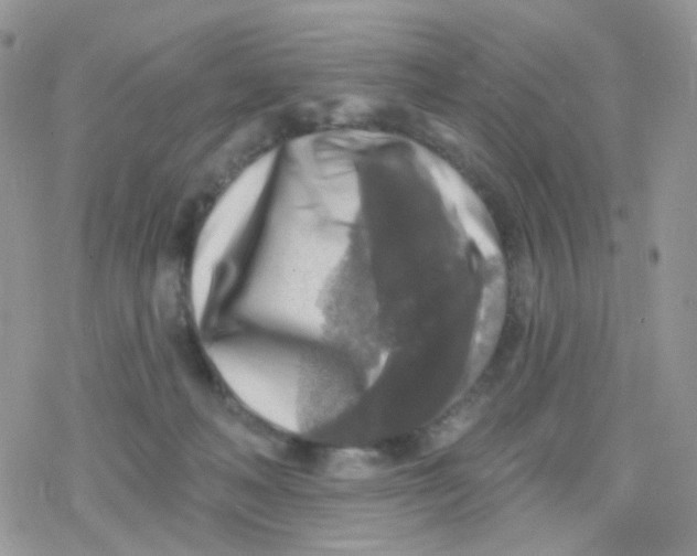 X0000078310222200611251541