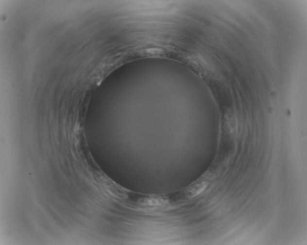 X0000078310223200611251541