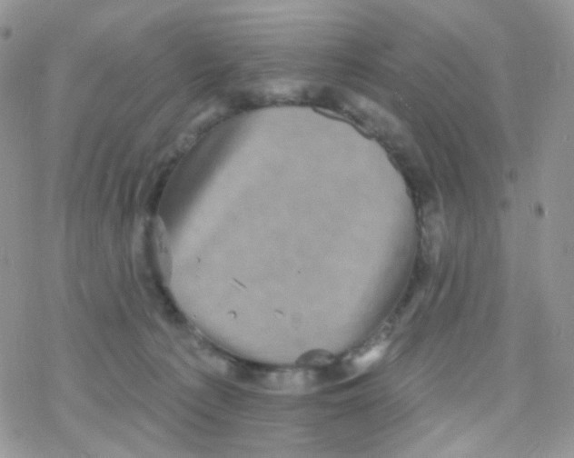 X0000078310225200611251541