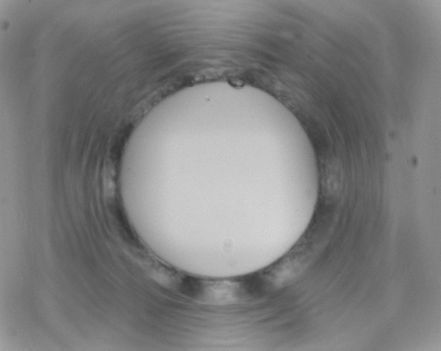 X0000078310226200611251541