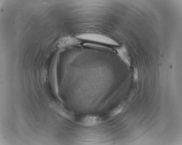 X0000078310227200611251541