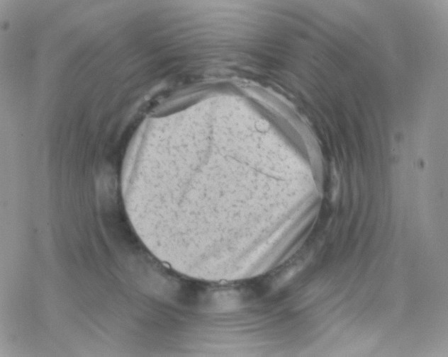 X0000078310228200611251541