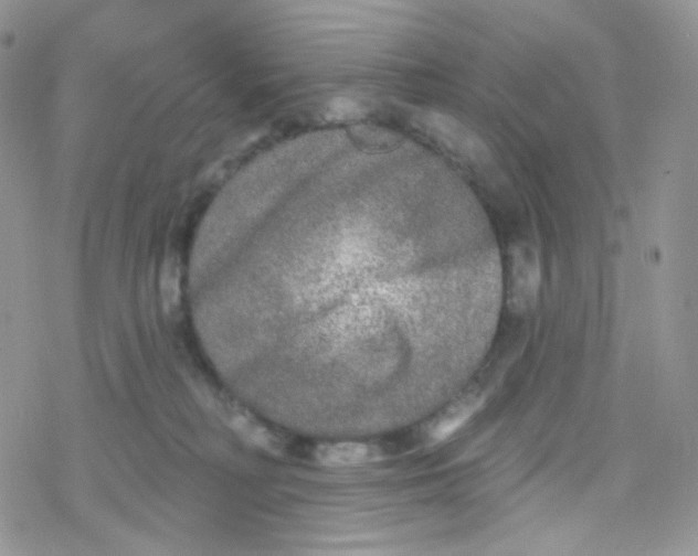 X0000078310230200611251541