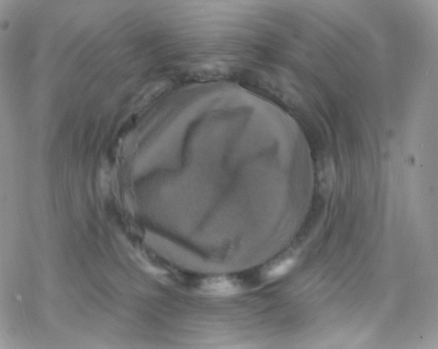 X0000078310231200611251541