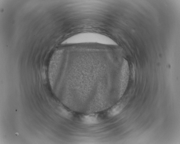 X0000078310232200611251541