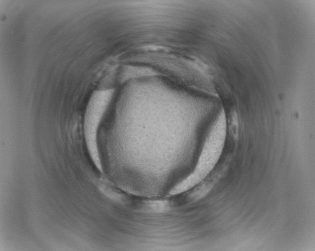 X0000078310233200611251541