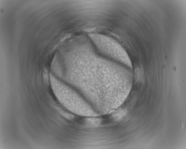 X0000078310234200611251541