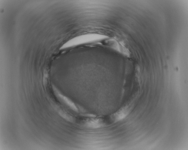 X0000078310235200611251541