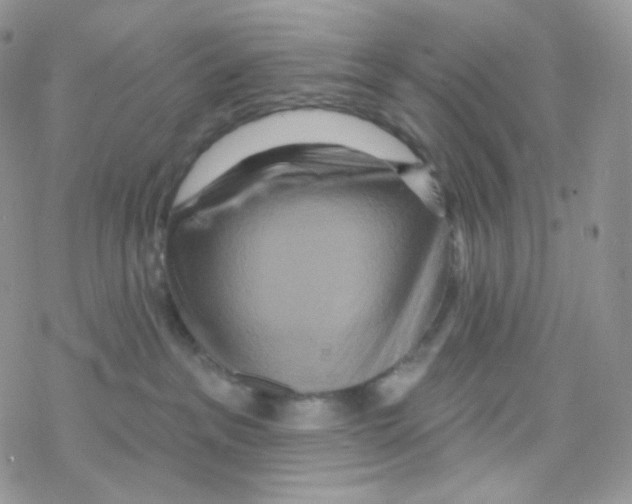 X0000078310237200611251541