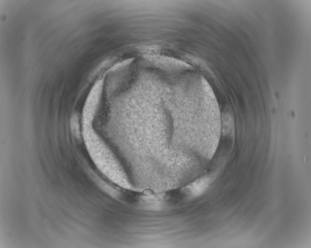 X0000078310238200611251541