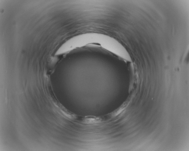 X0000078310239200611251541