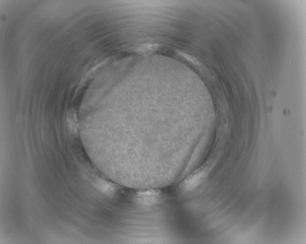 X0000078310240200611251541