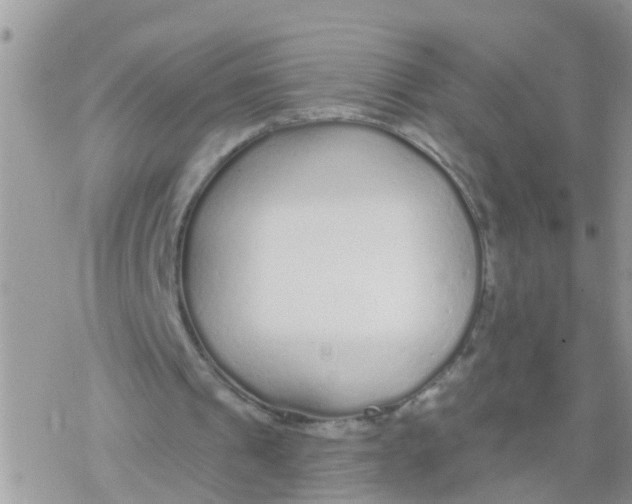 X0000078310241200611251540