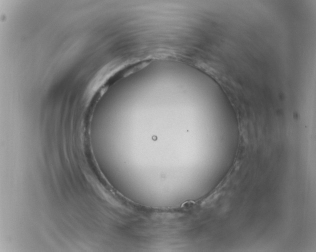 X0000078310242200611251540