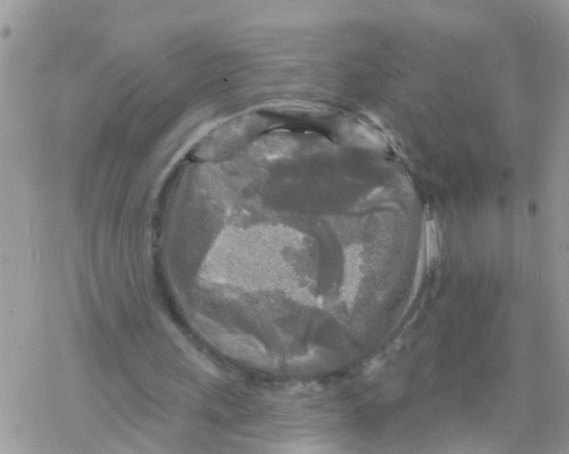 X0000078310243200611251540