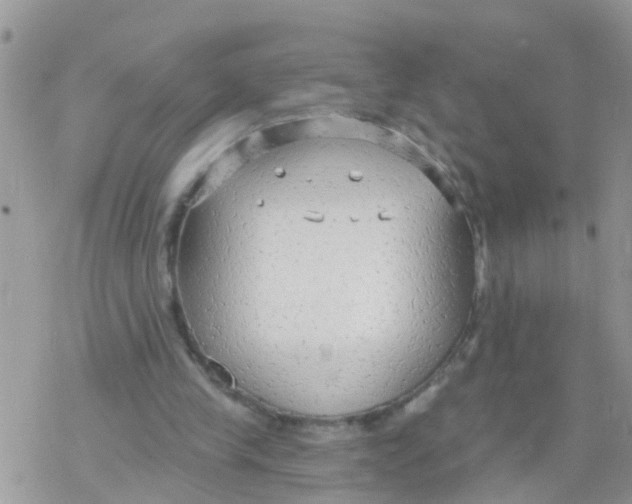 X0000078310245200611251540