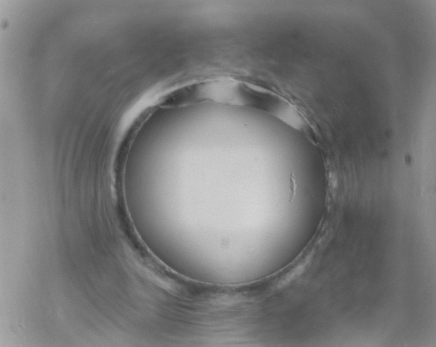 X0000078310246200611251540