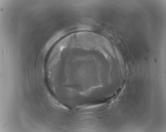 X0000078310247200611251540