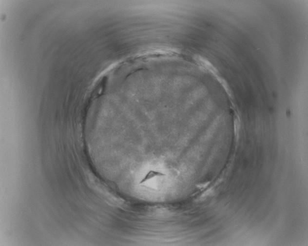 X0000078310249200611251540