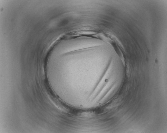 X0000078310251200611251540