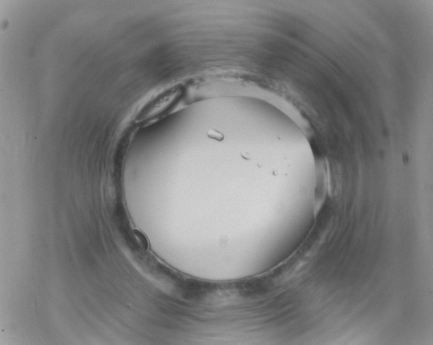 X0000078310252200611251540