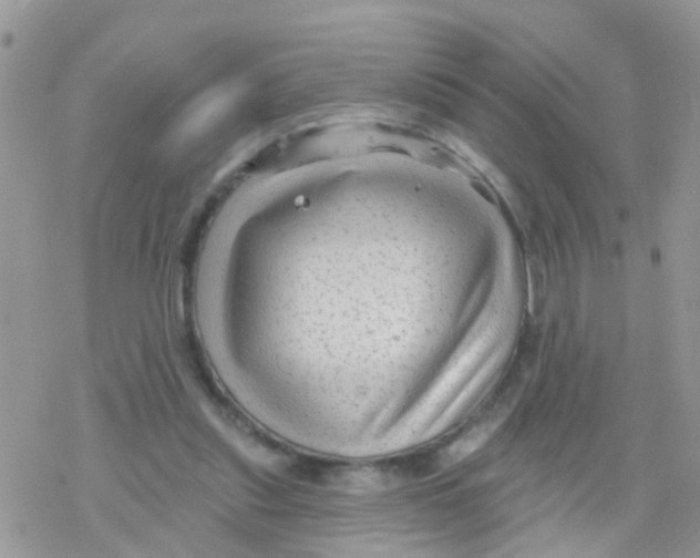 X0000078310253200611251540