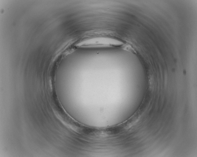 X0000078310254200611251540