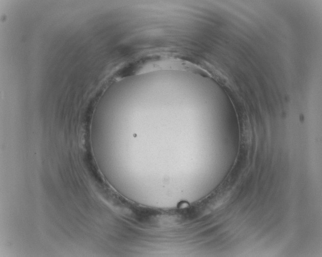 X0000078310255200611251540