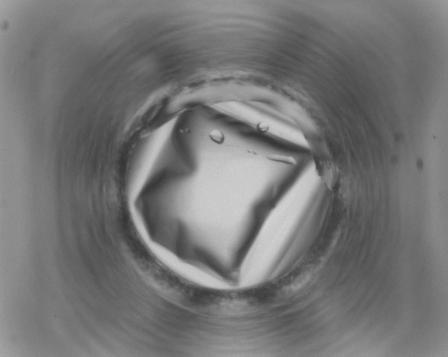 X0000078310256200611251540