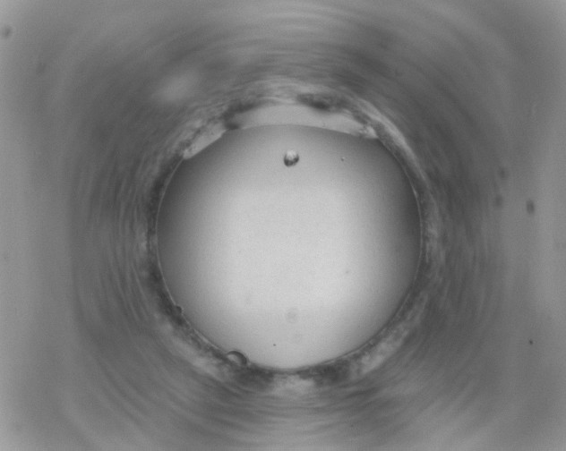 X0000078310257200611251540