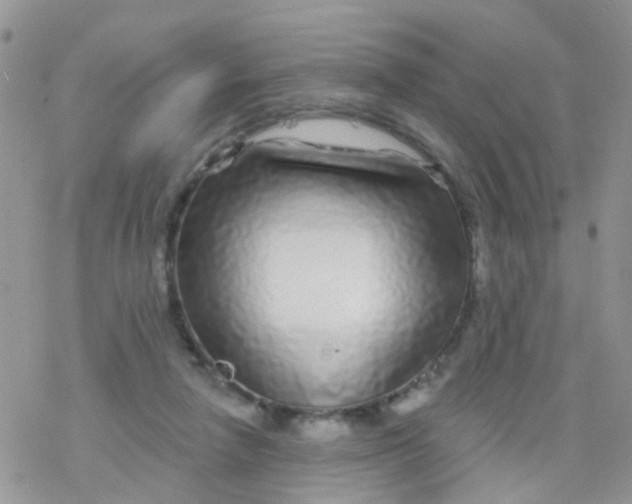 X0000078310258200611251540