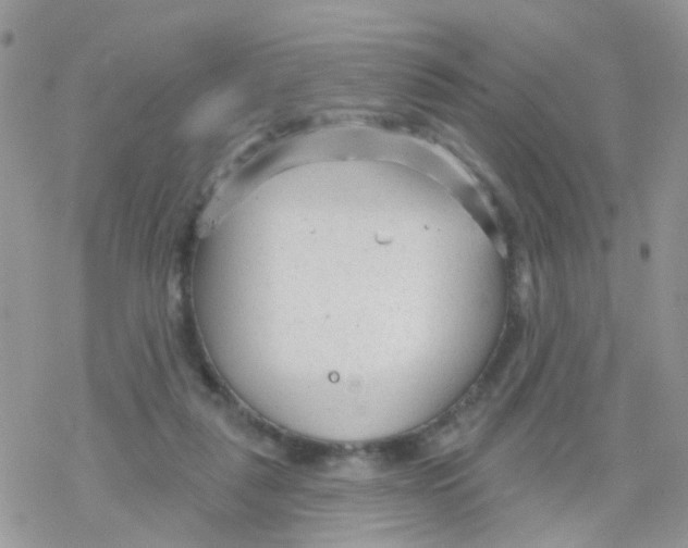 X0000078310259200611251541