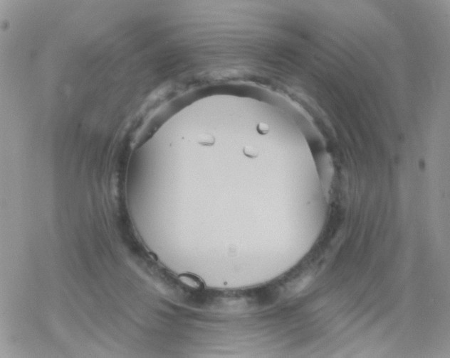 X0000078310260200611251541