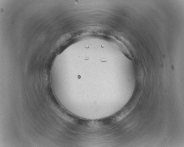 X0000078310261200611251541