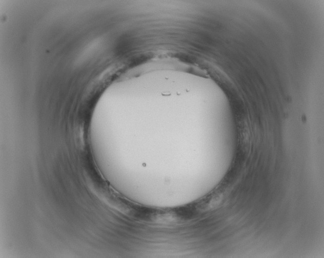 X0000078310262200611251541