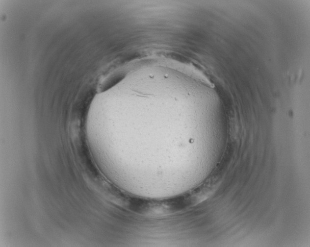 X0000078310263200611251541