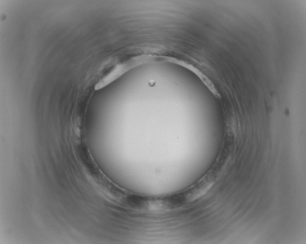 X0000078310264200611251541