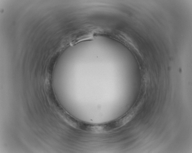 X0000078310265200611251541