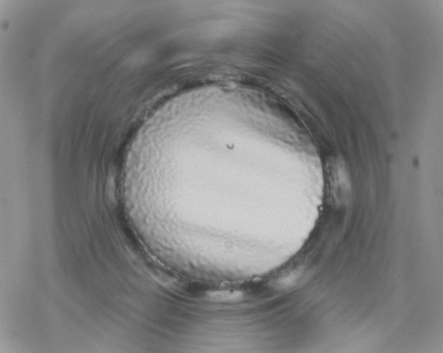 X0000078310266200611251541